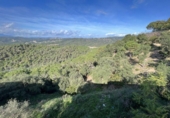 Xalet independent amb terreny en venda a la España, Lloret de Mar, ref.: TR350924 foto