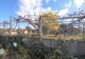 Xalet independent amb terreny en venda a la España, Ciudad Rodrigo, ref.: TR176963 foto