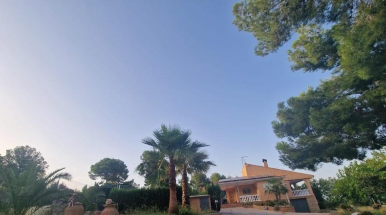 Valencia - Chiva - 6000m2