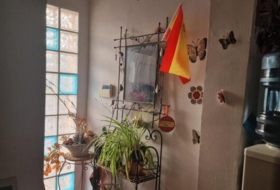 Foto 15
