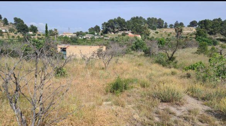 Alicante - La Nucía - 18000m2