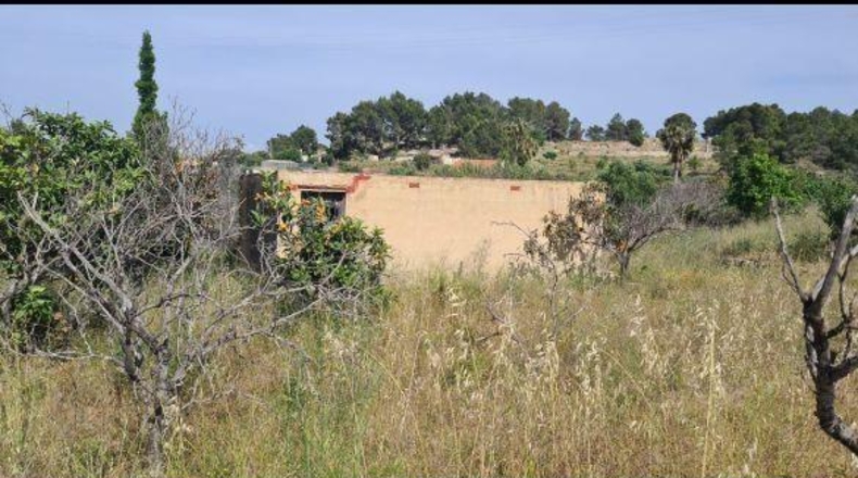 Alicante - La Nucía - 18000m2