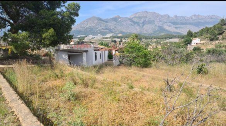 Alicante - La Nucía - 18000m2