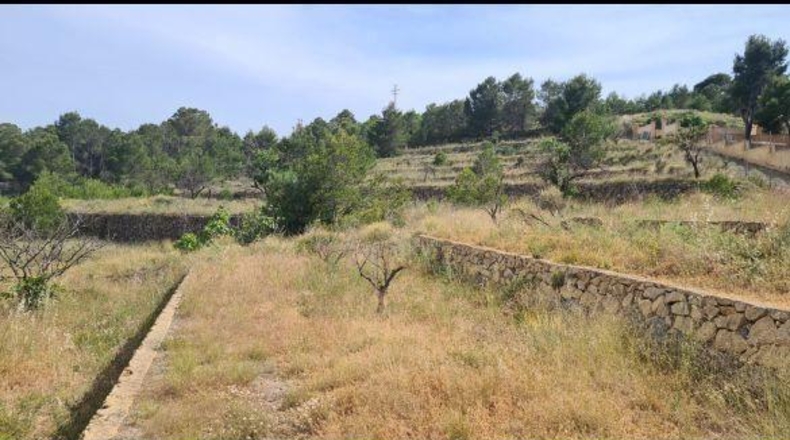 Alicante - La Nucía - 18000m2