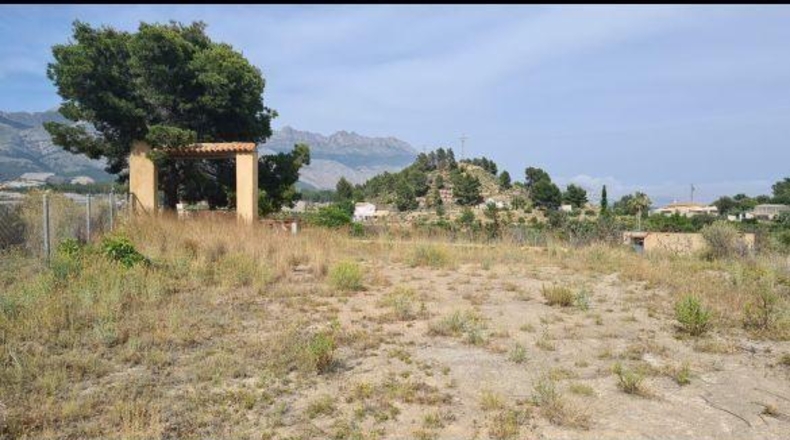 Alicante - La Nucía - 18000m2