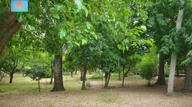 Ávila - Àvila - 3082m2