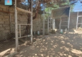 Finca rústica en venda a la España, Àvila, ref.: TR375077 foto