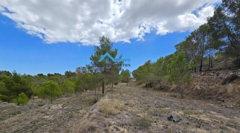 Alicante - La Nucía - 16000m2