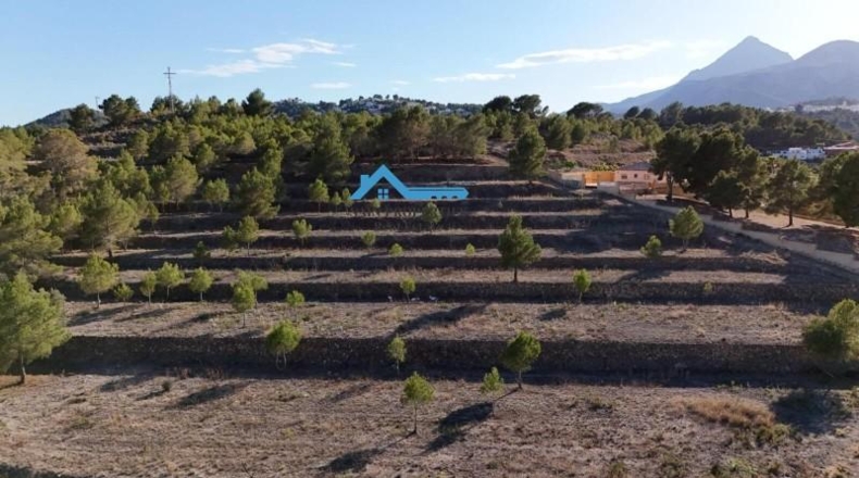 Alicante - La Nucía - 16000m2