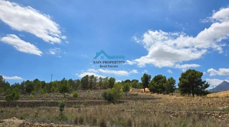 Alicante - La Nucía - 16000m2
