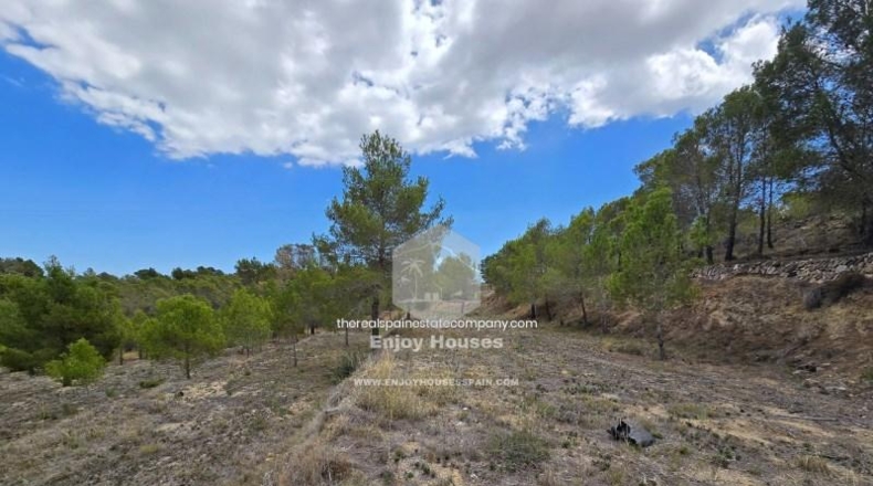 Alicante - La Nucía - 16497m2