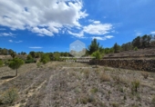 Non-developable land for sale on España, La Nucia, ref: TR241545 photo