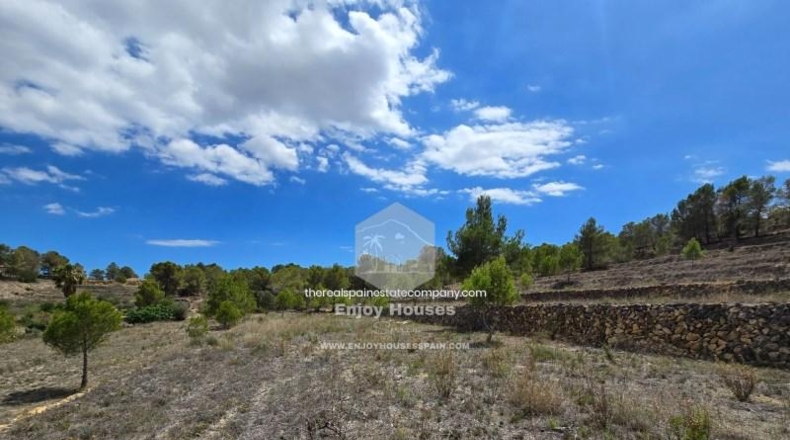 Alicante - La Nucía - 16497m2