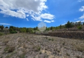 Non-developable land for sale on España, La Nucia, ref: TR241545 photo