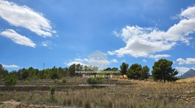 Alicante - La Nucía - 16497m2