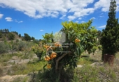 Non-developable land for sale on España, La Nucia, ref: TR241545 photo