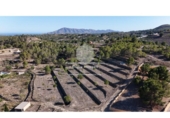 Non-developable land for sale on España, La Nucia, ref: TR241545 photo