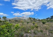 Non-developable land for sale on España, La Nucia, ref: TR241545 photo