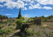 Non-developable land for sale on España, La Nucia, ref: TR241545 photo