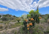 Non-developable land for sale on España, La Nucia, ref: TR241545 photo