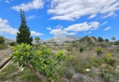 Non-developable land for sale on España, La Nucia, ref: TR241545 photo