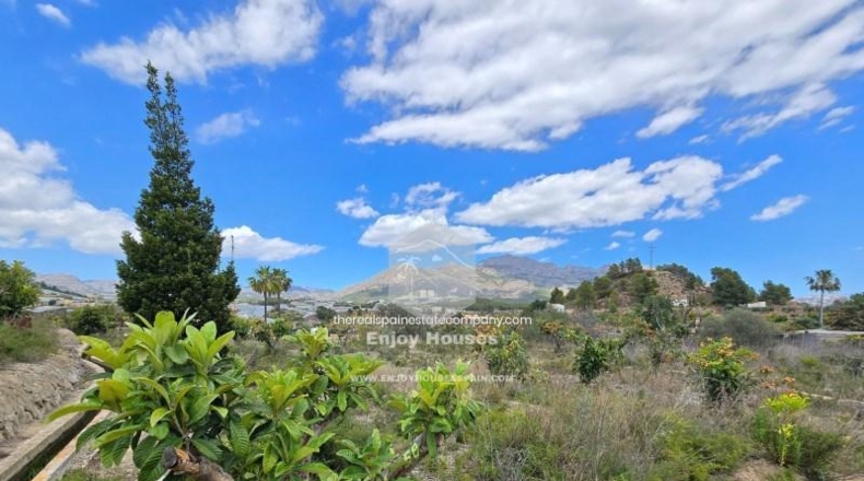 Alicante - La Nucía - 16497m2
