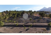 Non-developable land for sale on España, La Nucia, ref: TR241545 photo