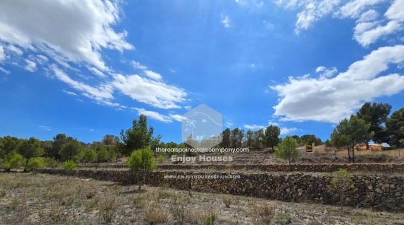 Alicante - La Nucía - 16497m2