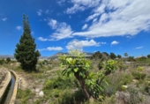 Non-developable land for sale on España, La Nucia, ref: TR241545 photo