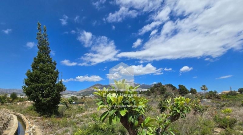 Alicante - La Nucía - 16497m2