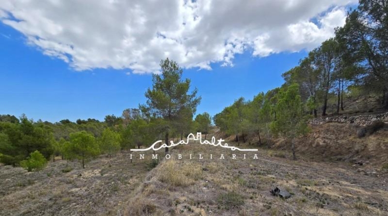 Alicante - La Nucía - 16500m2