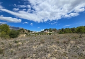 Non-developable land for sale on España, La Nucia, ref: TR238201 photo