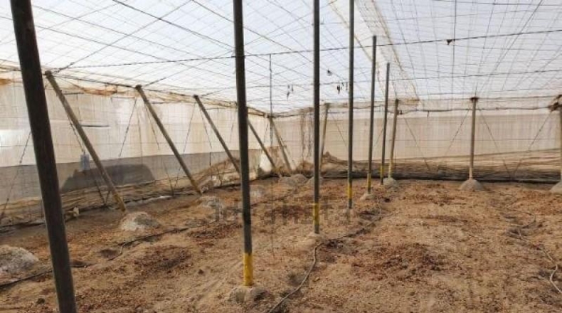 Almería - Almería - 3500m2