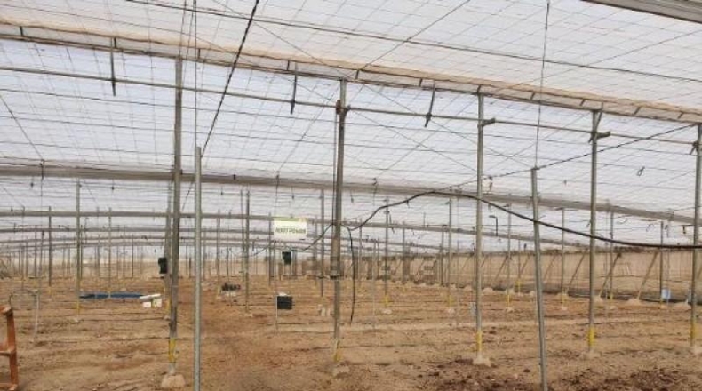 Almería - Almería - 3500m2