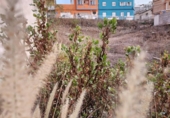 Sòl urbà en venda a la España, Las Palmas de Gran Canària, ref.: TR312220 foto