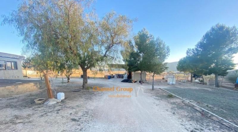 Alicante - La Canalosa - 8000m2