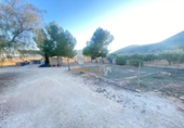 Casa de camp amb terreny en venda a la España, la Canalosa, ref.: TR146831 foto