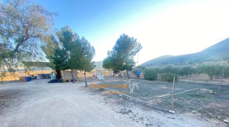 Alicante - La Canalosa - 8000m2