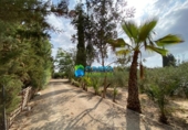 Chalet independiente con terreno en venta en la España, Murcia, ref: TR345893 foto