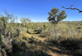 Berrocal 247704&nbsp;м²