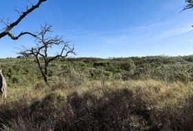 Berrocal 247704&nbsp;м²