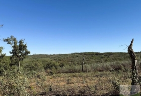 Berrocal 247704&nbsp;м²