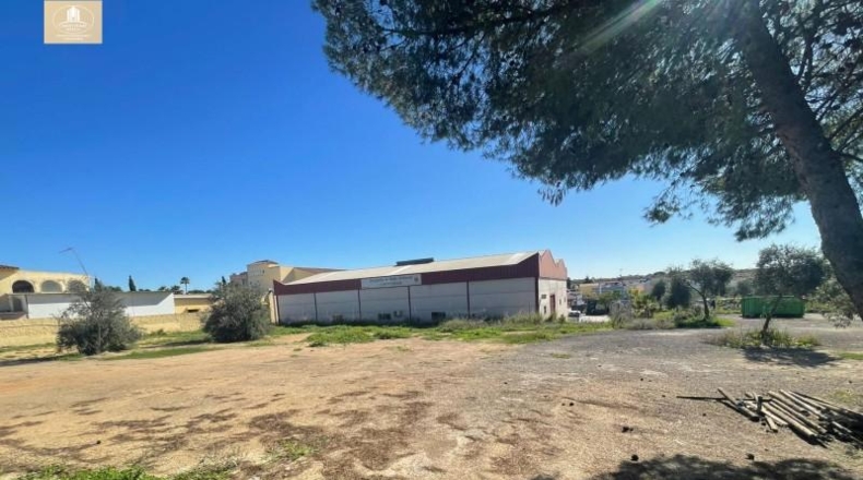 Sevilla - Bormujos - 1040m2