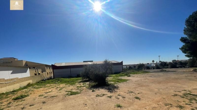 Sevilla - Bormujos - 1040m2
