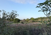 Casa de camp amb terreny en venda a la España, Tacoronte, ref.: TR360171 foto