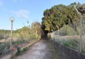 Casa de camp amb terreny en venda a la España, Tacoronte, ref.: TR360171 foto