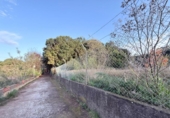 Casa de camp amb terreny en venda a la España, Tacoronte, ref.: TR360171 foto