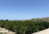 Terreny amb magatzem en venda a la España, Xacarella, ref.: TR137932 foto