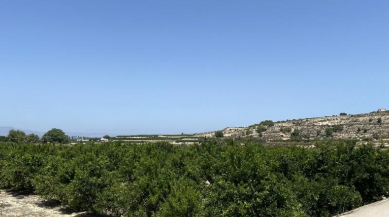 Alicante - Jacarilla - 40827m2