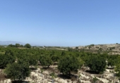 Terreny amb magatzem en venda a la España, Xacarella, ref.: TR137932 foto
